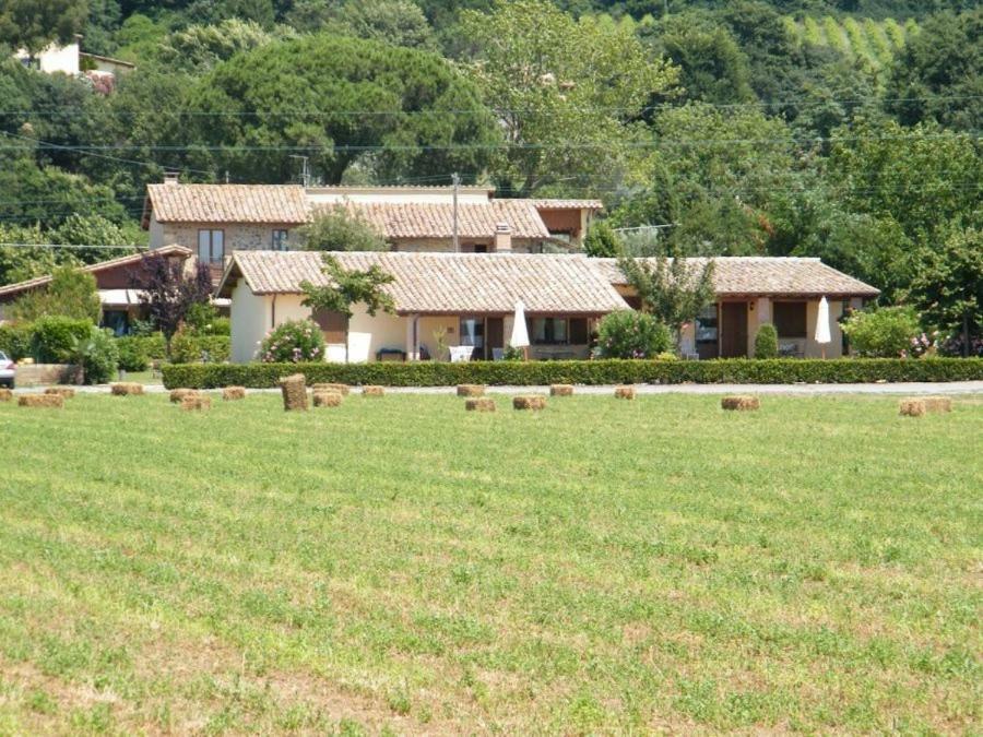 Agriturismo Casale Del Contadino Bolsena Dış mekan fotoğraf