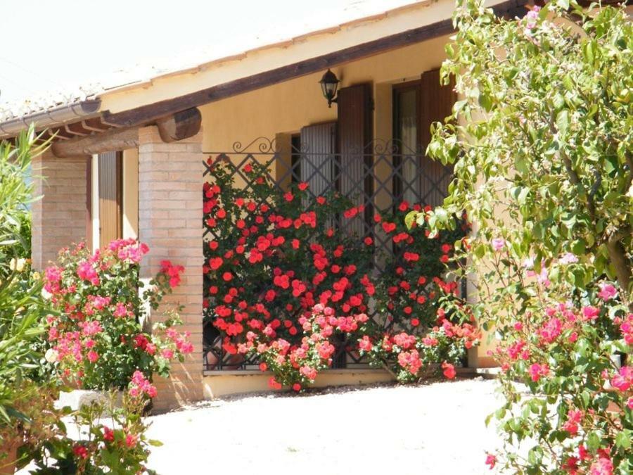 Agriturismo Casale Del Contadino Bolsena Dış mekan fotoğraf