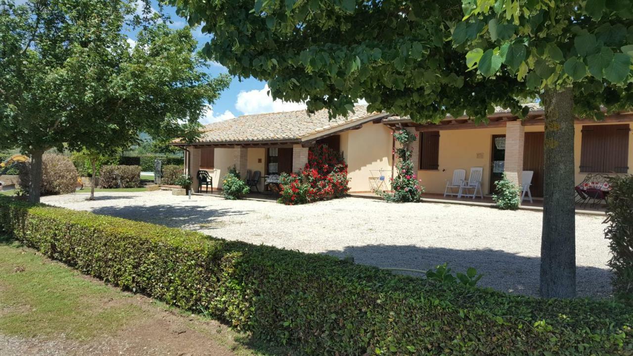Agriturismo Casale Del Contadino Bolsena Dış mekan fotoğraf